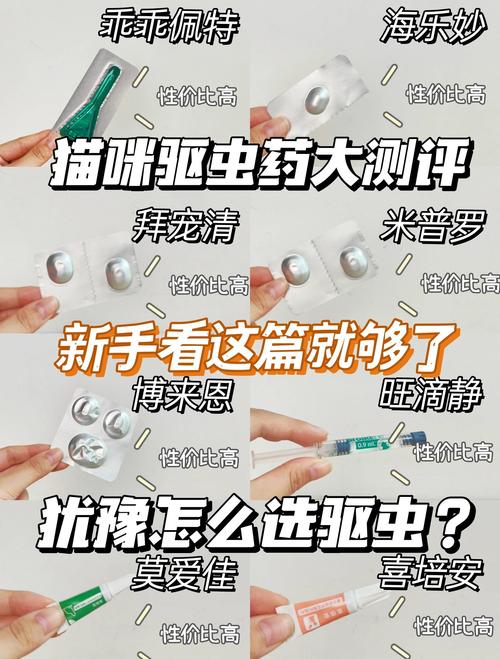 视频：猫咪驱虫后多久吃饭呢？
