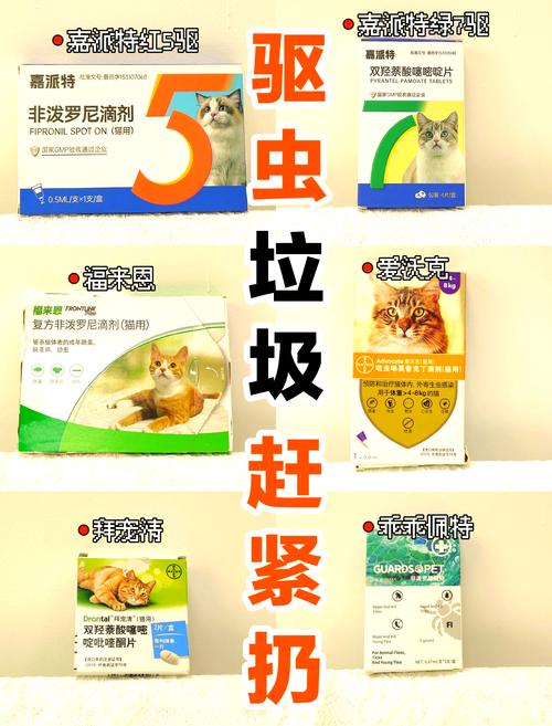 视频：猫咪驱虫药过量中毒了该怎么办？