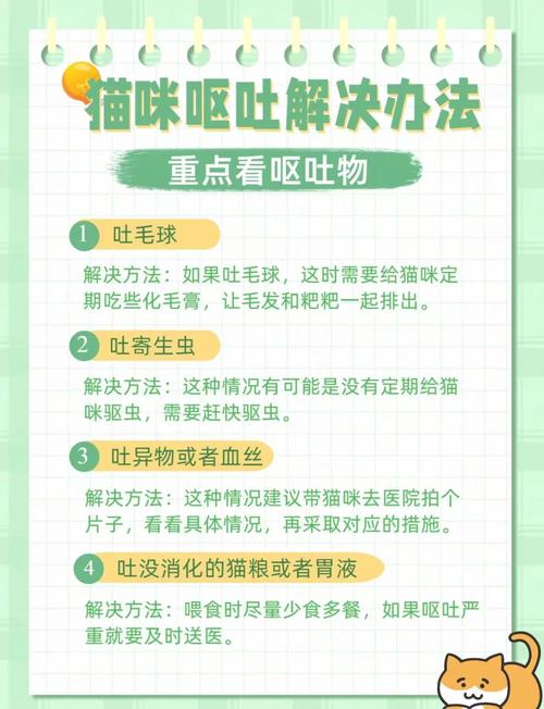 视频：猫咪驱虫后呕吐是怎么回事？