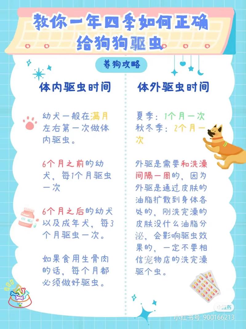 视频：猫咪驱虫后多久吃饭呢？