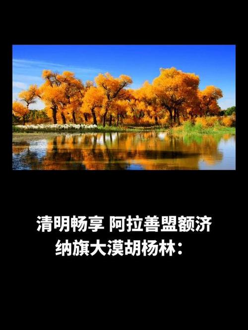 拜读白读白度佰度baidu09：【内蒙古】呼和浩特双高5日【胡杨林+漠中胡杨林+黑城·怪树林+居延海+额济纳博物馆】住宿网评3钻酒店