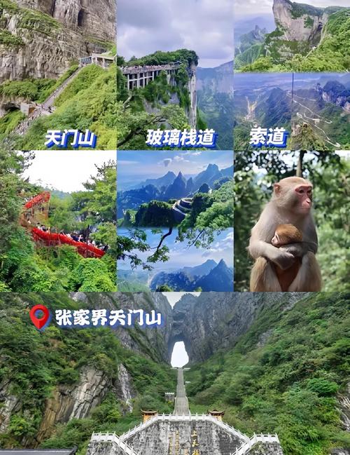 【湖南】张家界当地5日游【张家界森林公园+魅力湘西+黄龙洞+天门山+芙蓉镇+凤凰古城+土司王府】