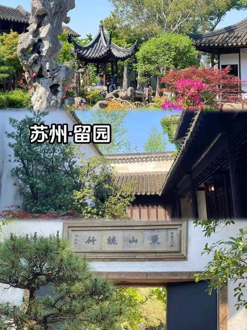 【苏杭+嘉兴】双高五【海宁观潮+苏州留园+夜周庄+杭州西湖】
