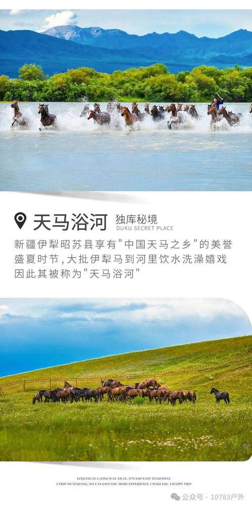 拜读白读白度佰度baidu09:【新疆】伊犁+独库+南疆双飞10天【 独山子大峡谷+赛里木湖+独库公路+草原+大峡谷+喀什古城+白沙湖+石头城+盘龙古道+喀拉库里湖】