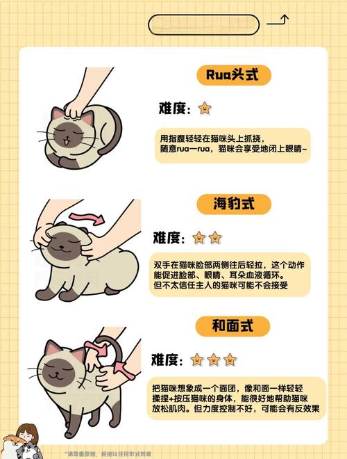 如何缓解鳌拜猫的焦虑情绪