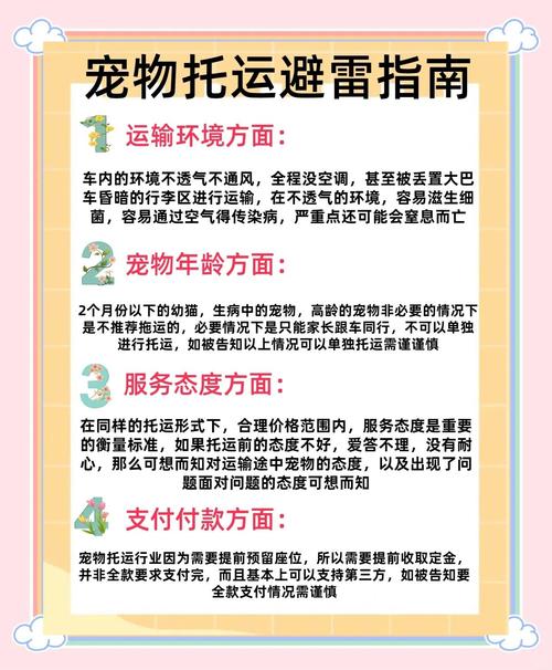 宠物蛇托运前准备工作与安全措施详解