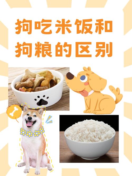 视频:狗狗可以吃米饼吗?
