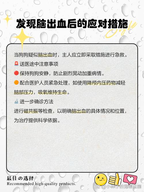 视频：狗狗脑出血能坚持多久？