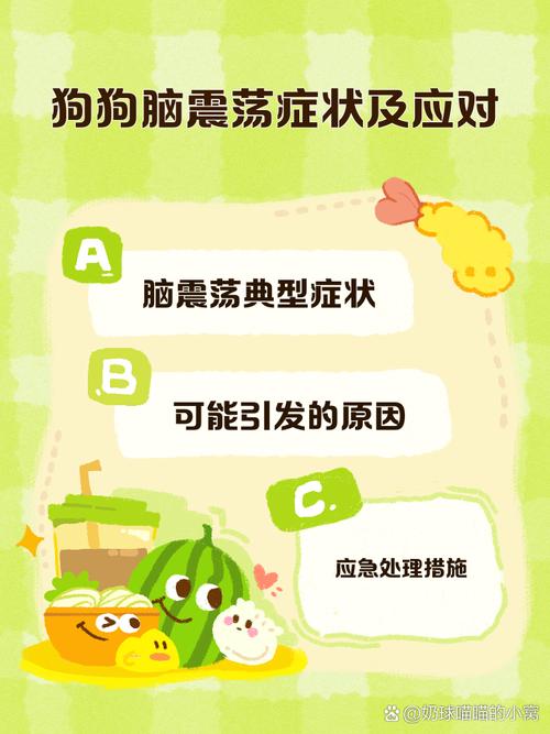 视频：狗狗脑震荡会怎么样？