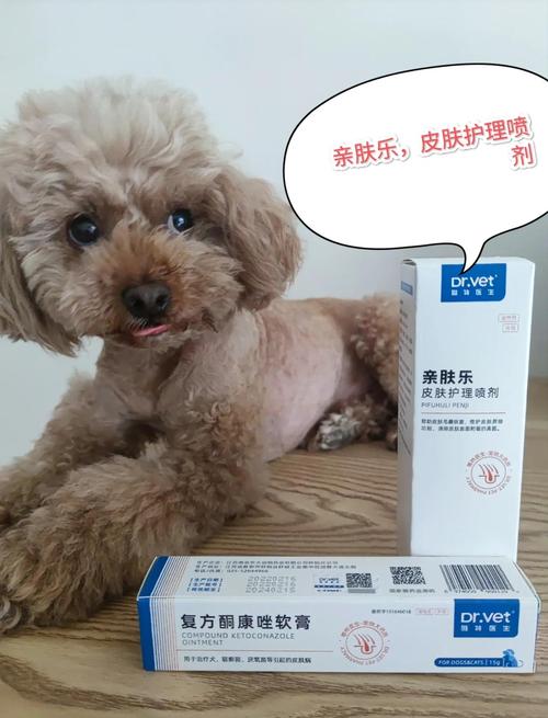 视频：狗狗脓皮症用什么药呢？