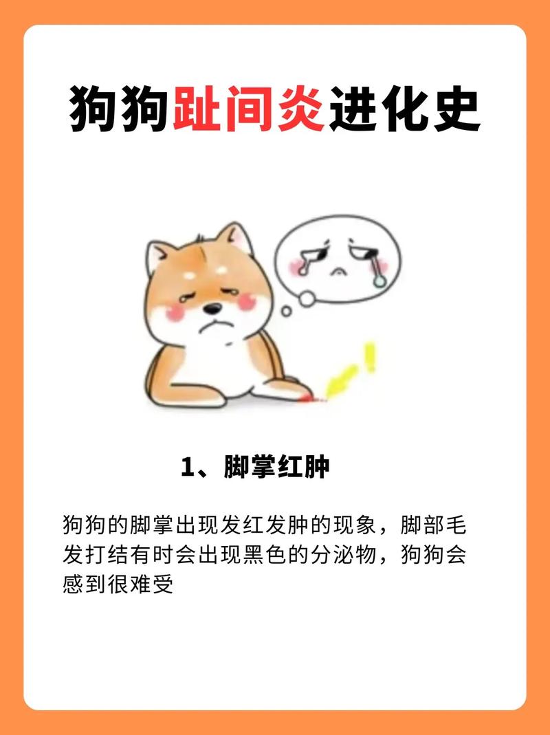 视频：狗狗脚掌又红又痒怎么办？
