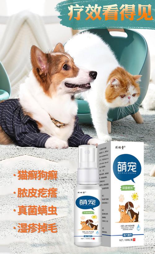 视频：狗狗脸上长癣用什么药呢？