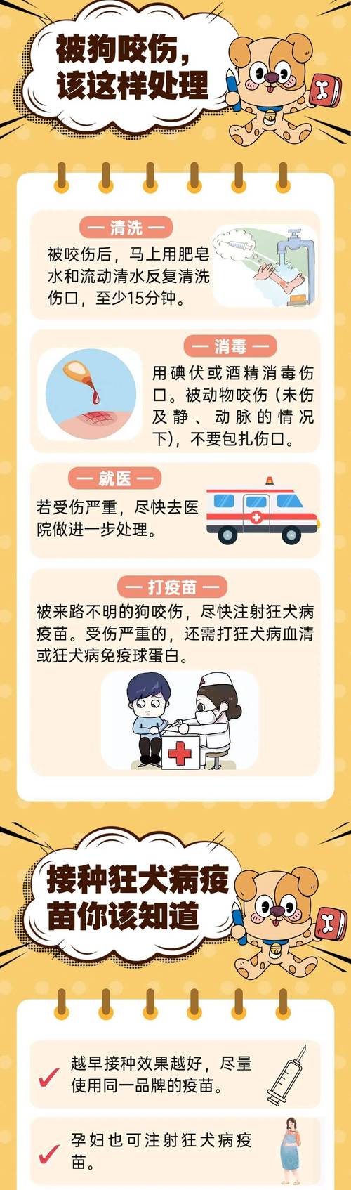 视频：狗狗被咬伤了怎么处理？