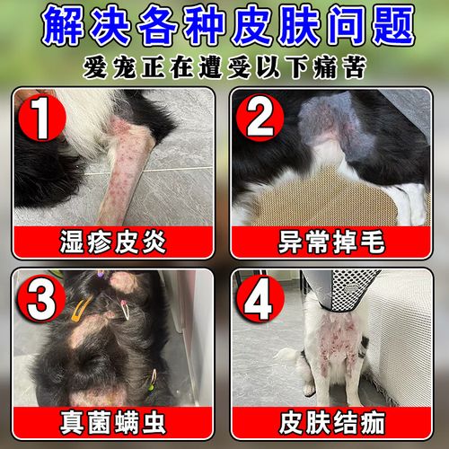 视频：狗狗身上起癣用什么药物呢？