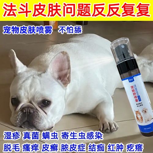 视频：狗狗身上长红疙瘩、结痂用什么药呢？