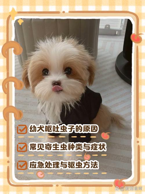 视频：狗狗身体里的蛔虫多久能清干净？