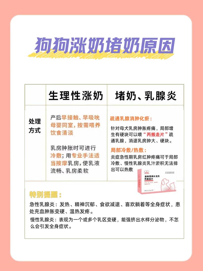 狗狗涨奶严重怎么办?从减少泌乳到物理缓解全攻略