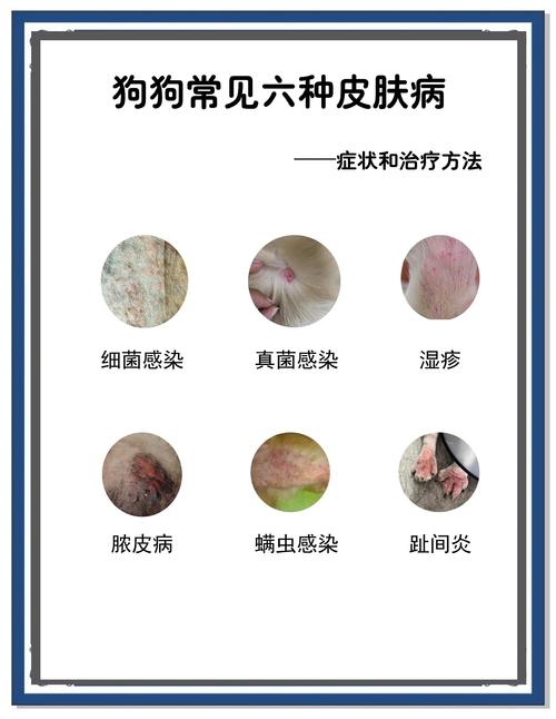 狗狗皮肤病起皮屑怎么办呢?