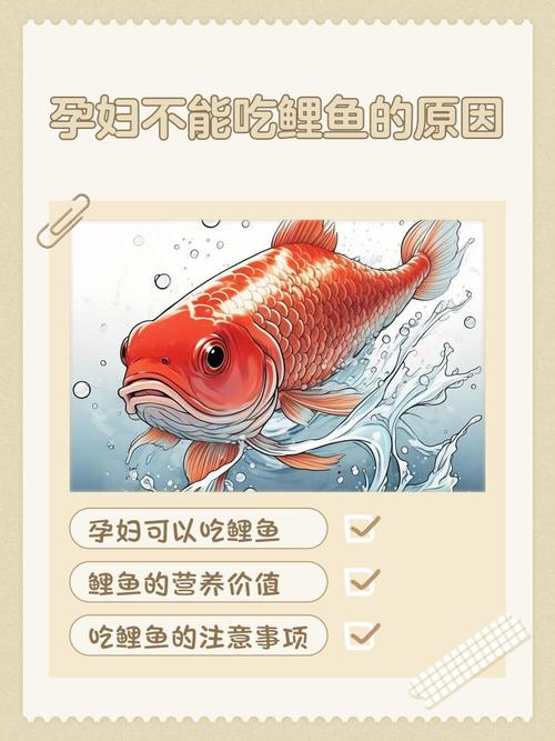 孕妇梦见被鱼咬