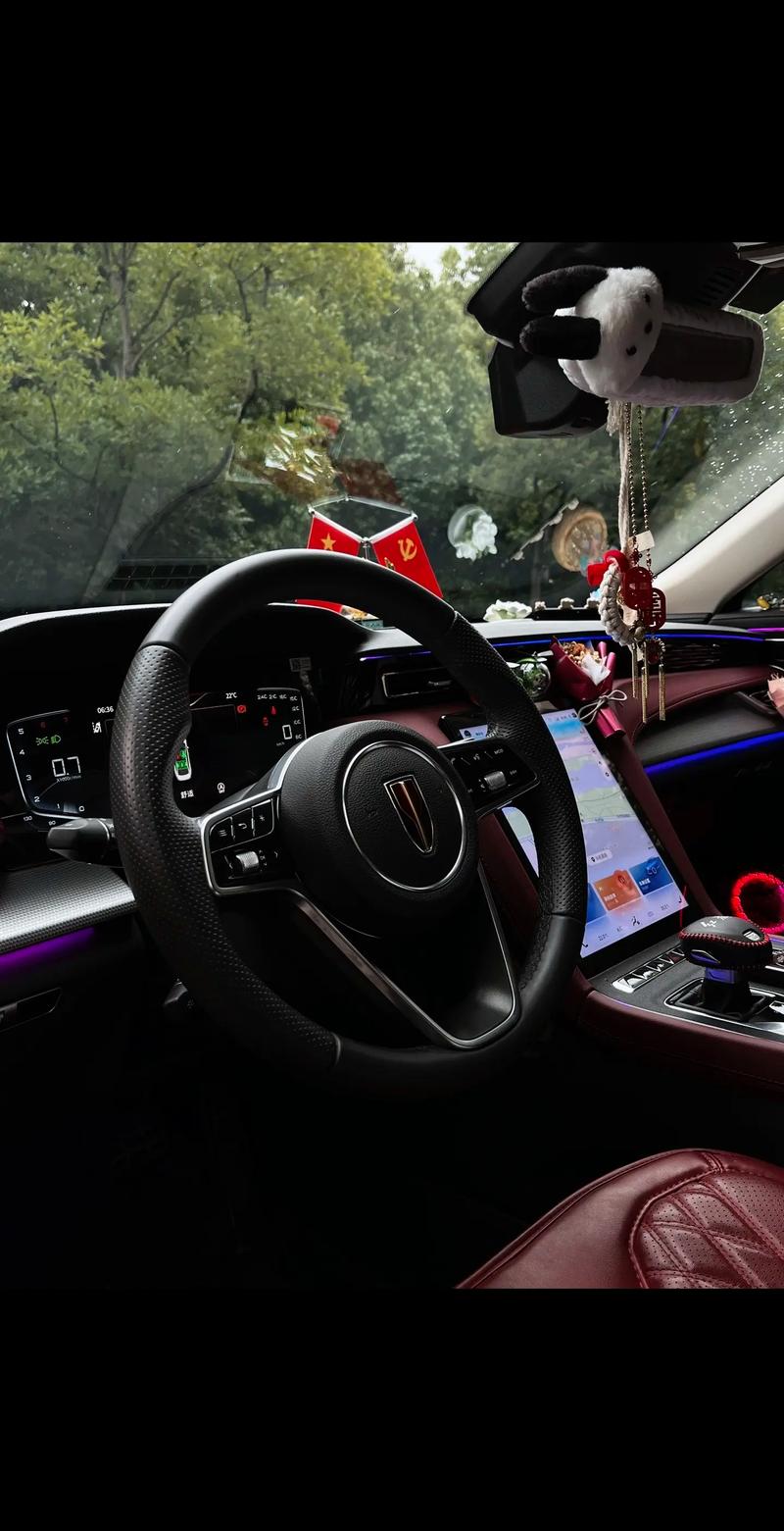 中控方向盘一汽红旗-红旗HS5