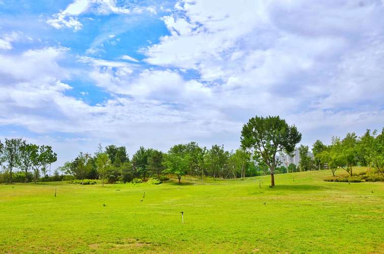 千层林铺设万里网 全力守护“绿色明珠”