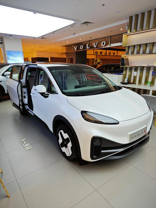 极狐T1试驾体验:10万内纯电小车的超值之选