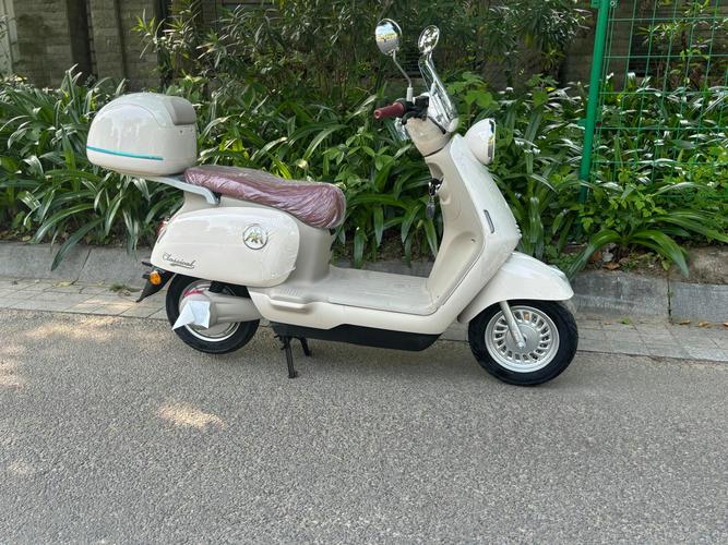 母亲节最好的礼物 五万元纯电动车谁更值得买?