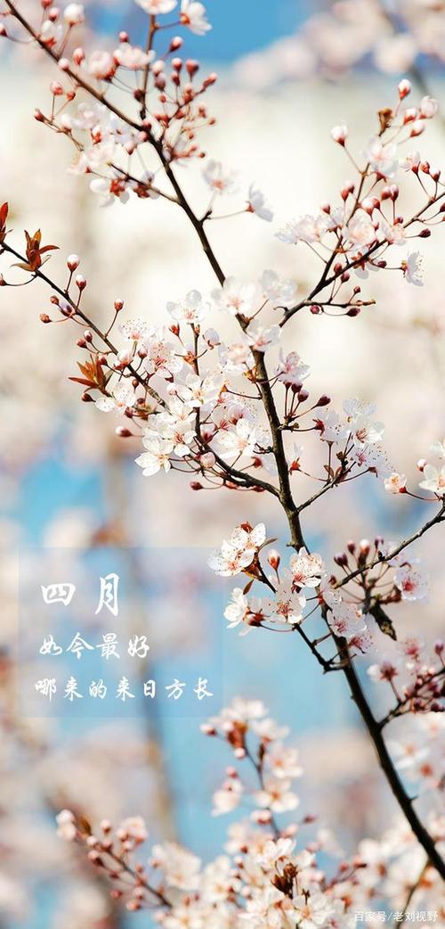 公益文化活动“吹吧，四月的风”发布预热宣传片