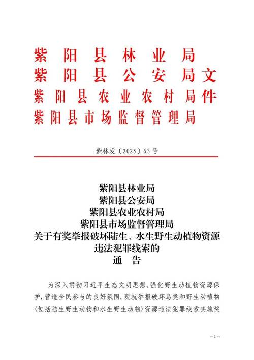 打击非法集资 举报线索有奖