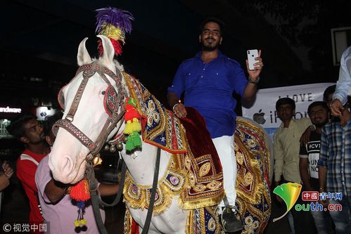 亚巡喜迎IGPL精英赛加盟 今年11月底印度举行